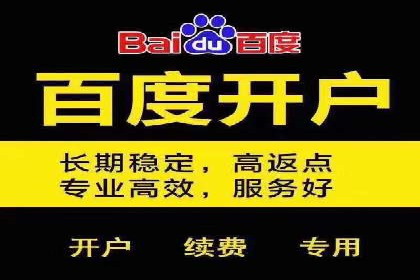 搜索引擎营销（SEM）在本地市场的应用案例